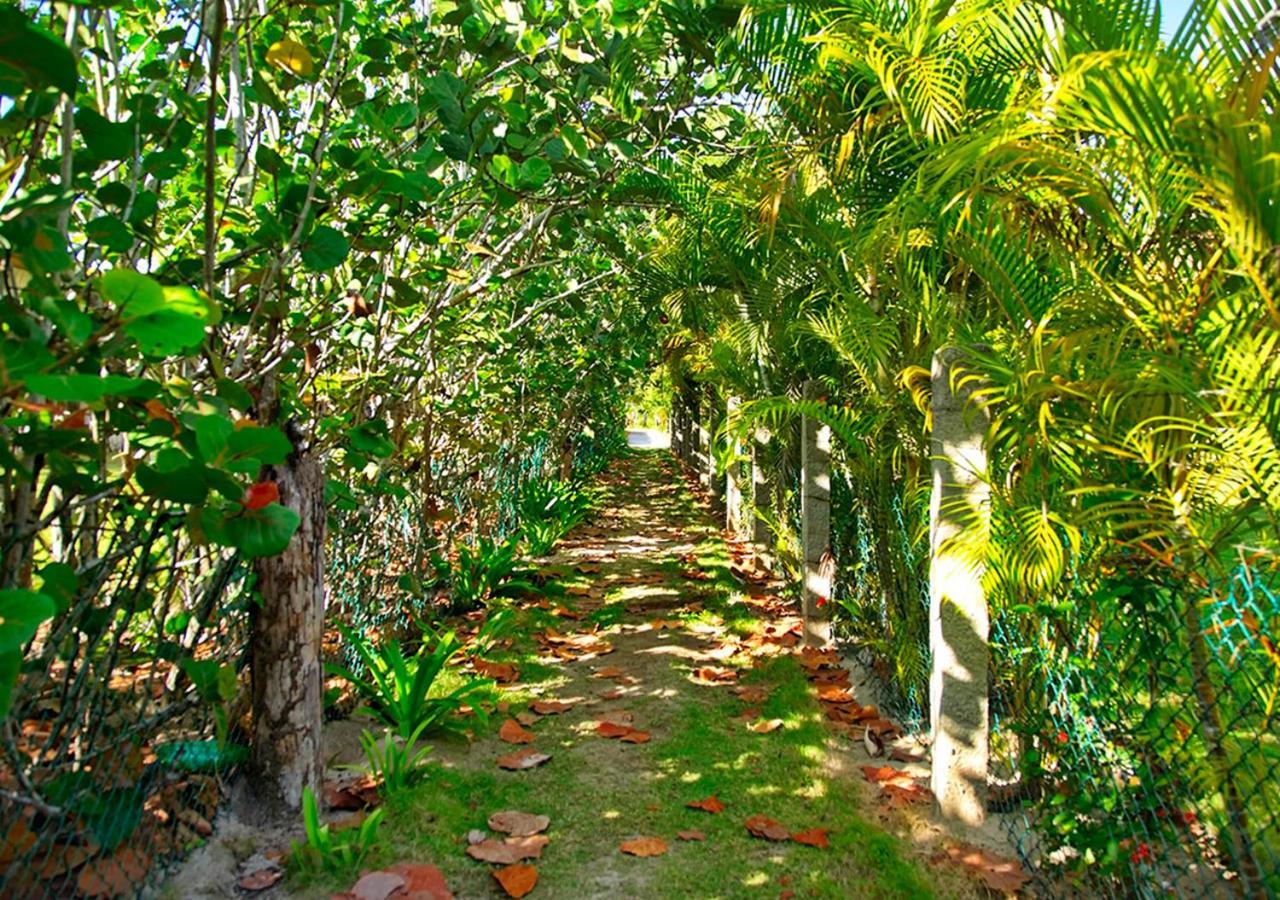 Chaykovski Boutique H Las Terrenas Buitenkant foto