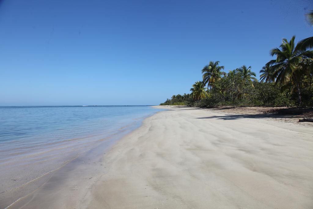 Chaykovski Boutique H Las Terrenas Buitenkant foto